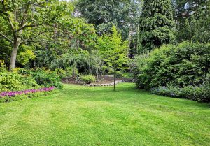 Optimiser l'expérience du jardin à Landecourt